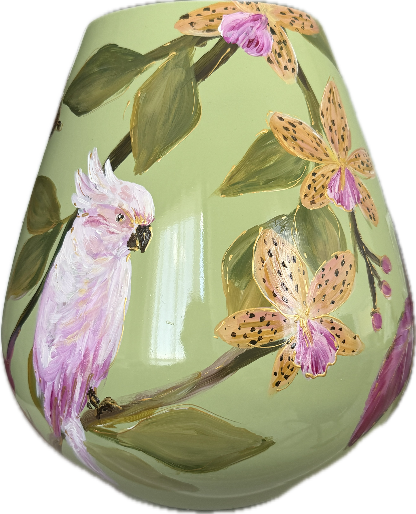 Tiger orchidee